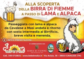 ALLA SCOPERTA DELLA BIRRA DI FIEMME A PASSO DI LAMA E ALPACA - B&B el Molin