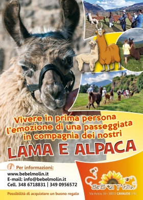 PASSEGGIATA CON LAMA E ALPACA - B&B el Molin